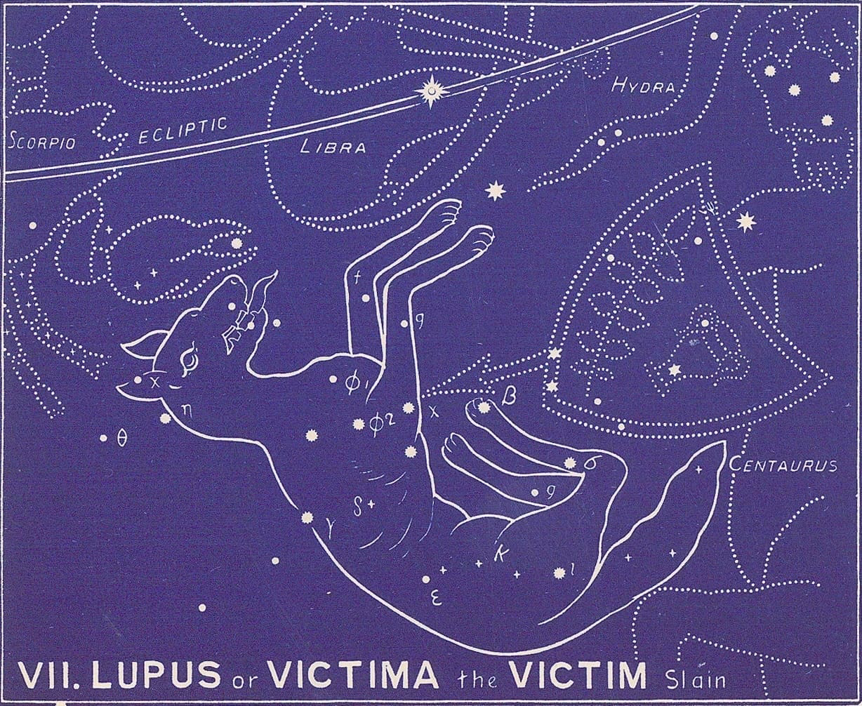 Which zodiac sign brings out a personality type?