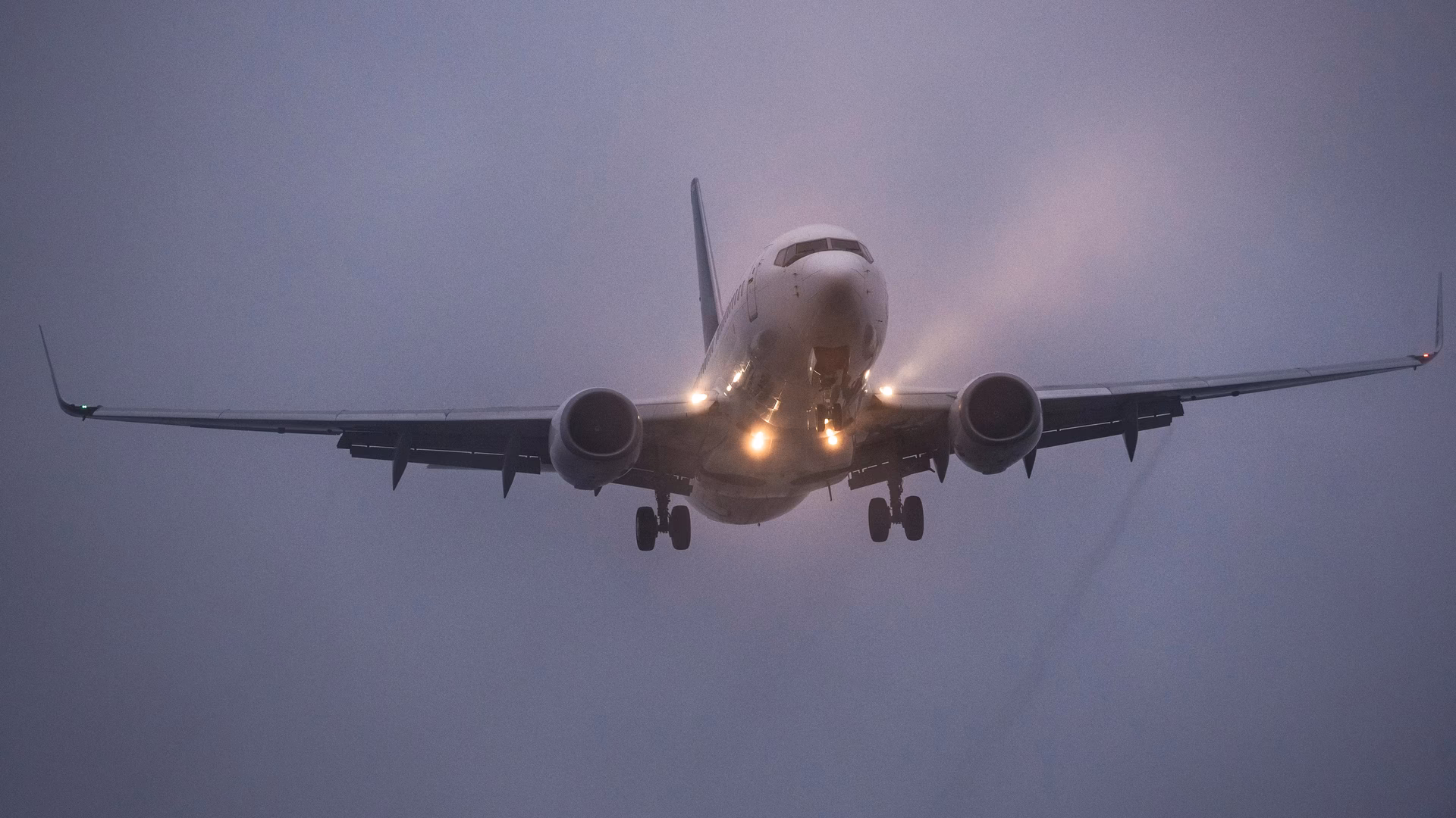 What does LVO stand for?