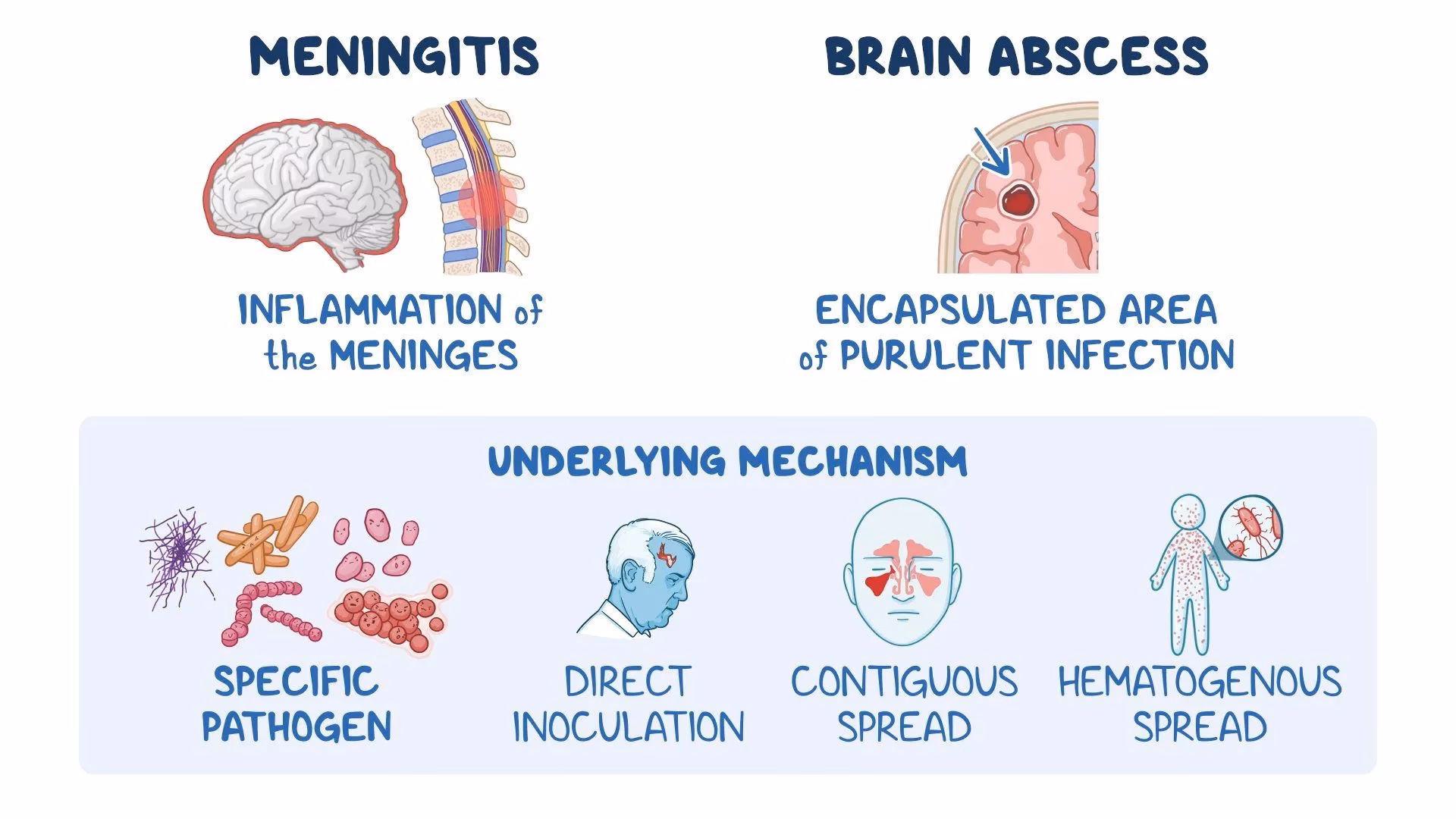 Does M abscessus cause NTM CNS infections in HIV-seronegative patients?
