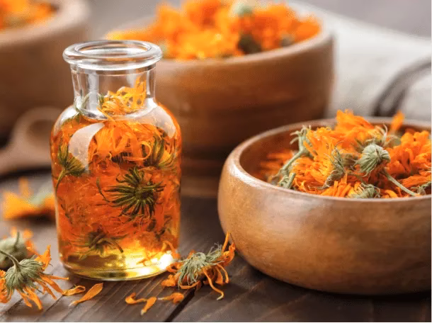 What are the best herbal remedies for beginners?