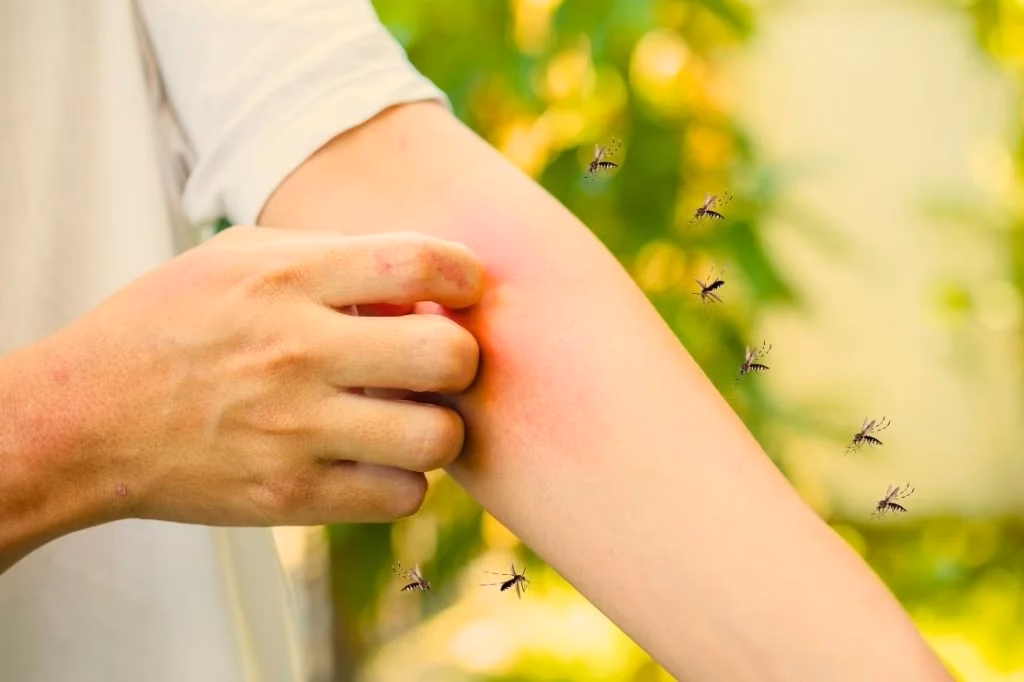 Why should you visit life Everyouth clinic Bali?