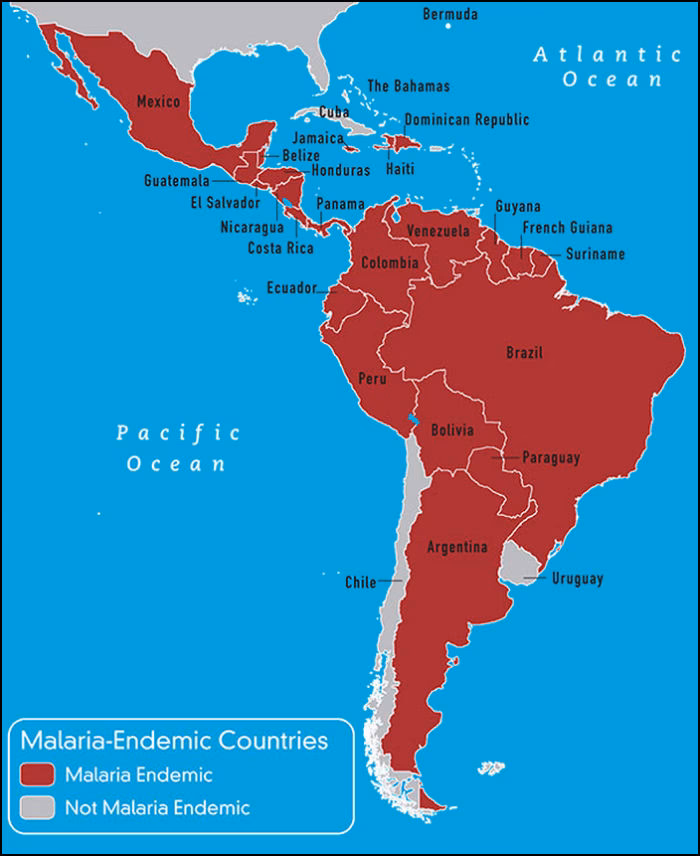 Where did malaria come from?