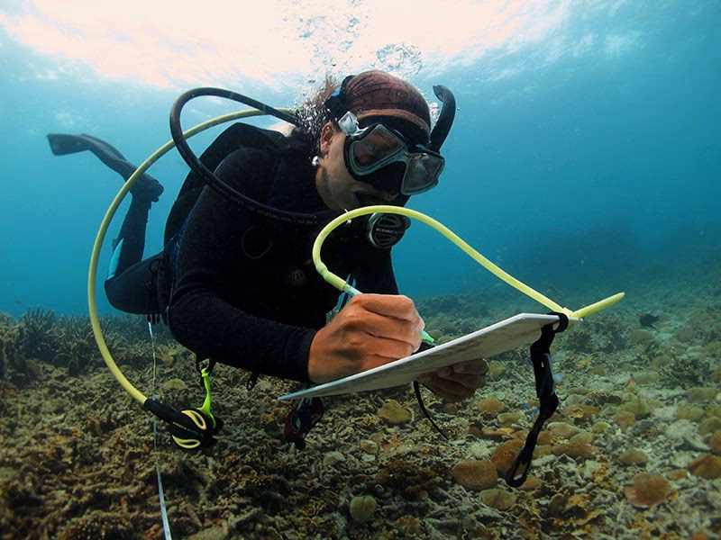 What types of data are collected during offshore survey operations?