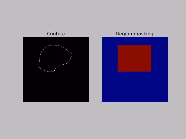 What are Python techniques for bit manipulation & masking?
