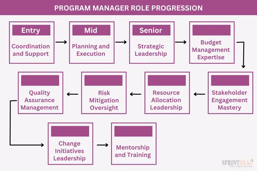 What is a project management programme?