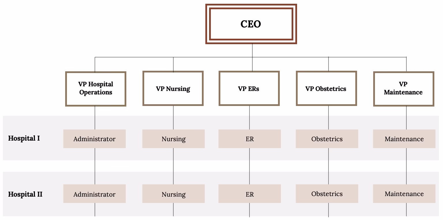 What is a matrix structure in healthcare?
