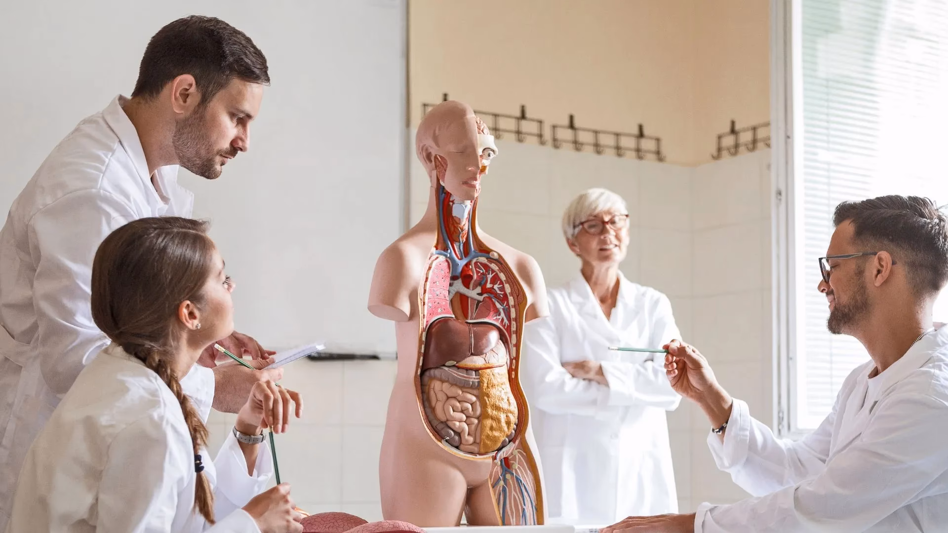 What is a medical degree in Portugal?