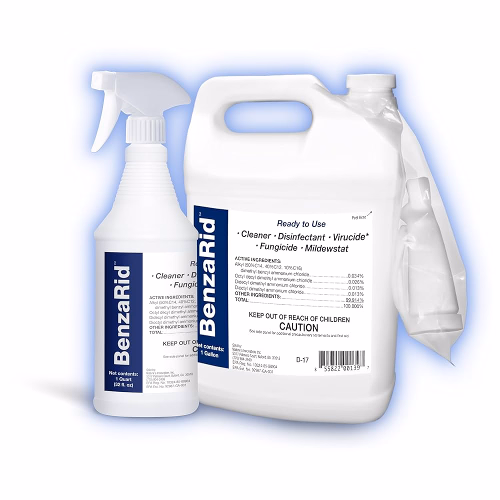 How does conventional medicine treat mold?