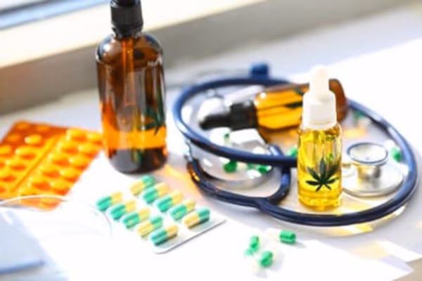 What is the difference between a plant and a medical plant?