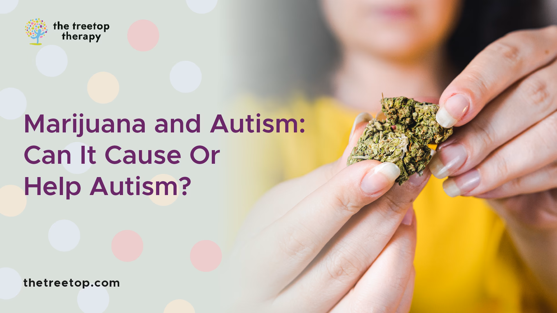 Can cannabis help treat core and comorbid autism symptoms?