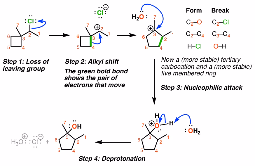 How do ring expansion reactions promote a biomimetic diversity-oriented synthesis?