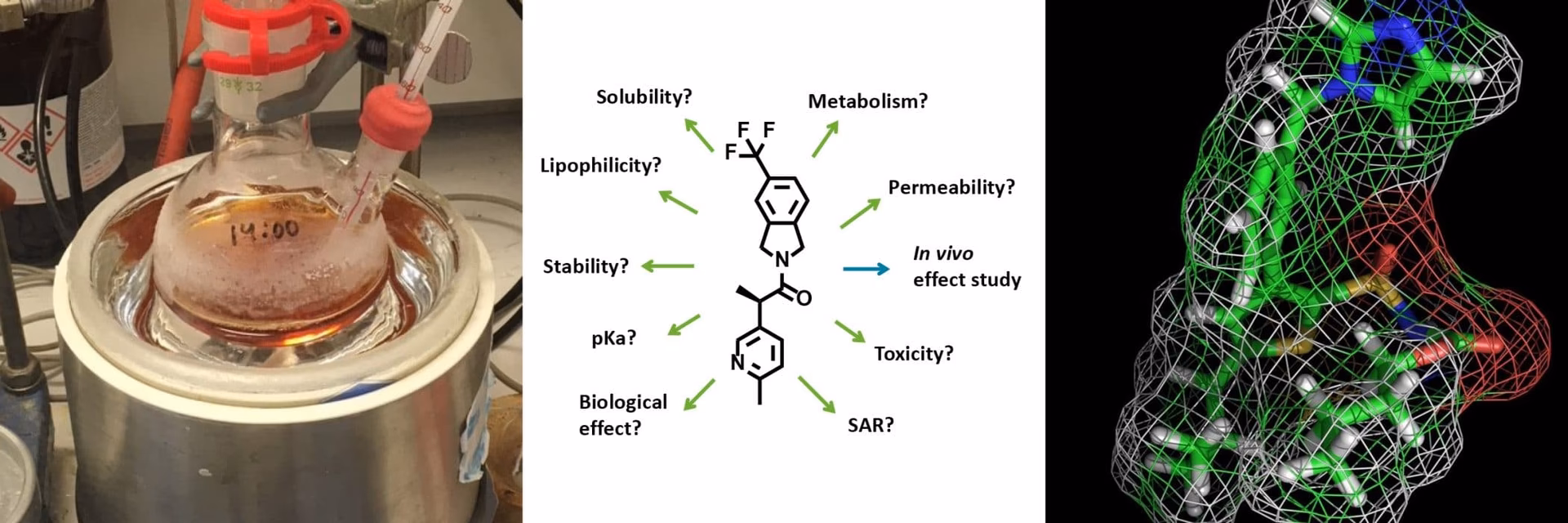 What research does Stockholm University conduct?
