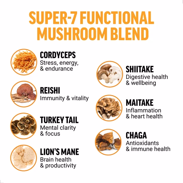 What is mushroom powder?