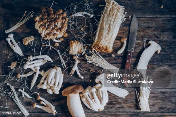 Should you invest in Shroom stocks?