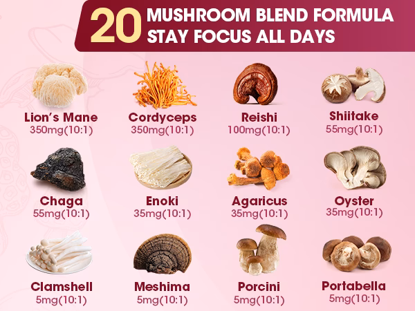 Is turkey tail a medicinal mushroom?