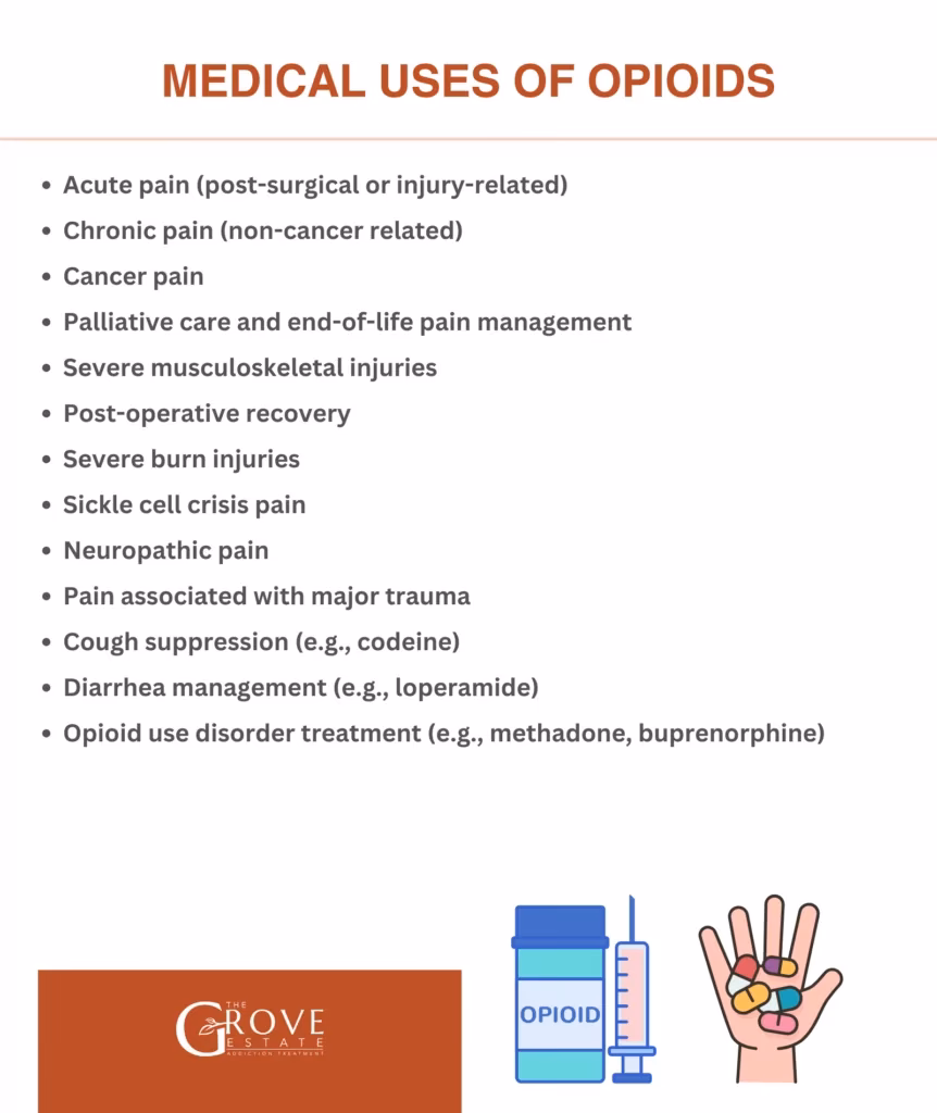 What are opioid drugs?