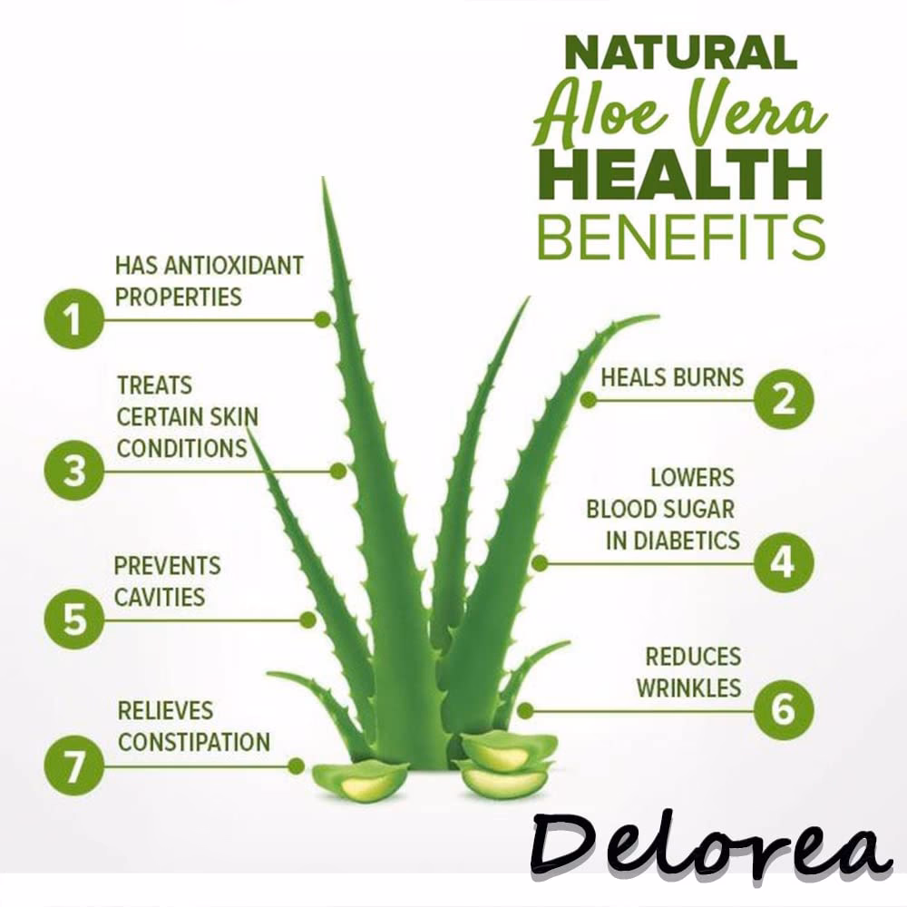 Is aloe vera a water deficit resistant plant?