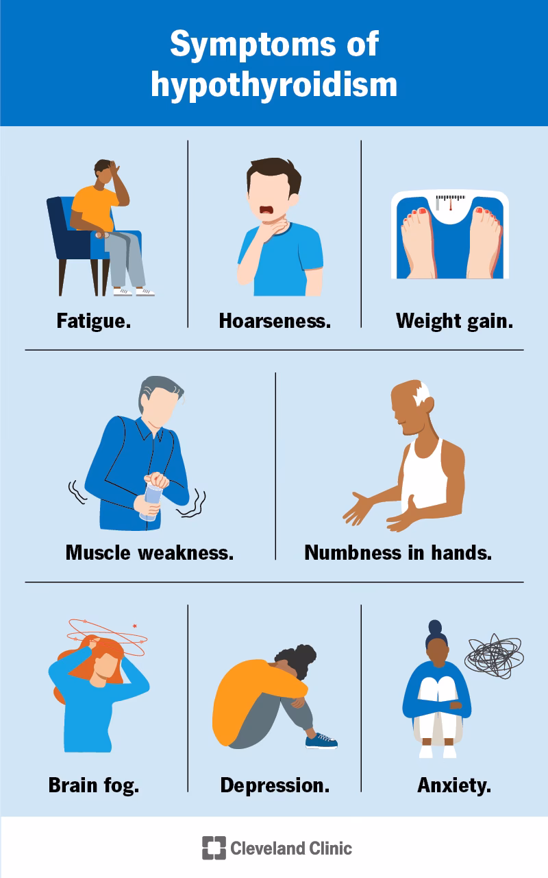 What is the treatment for hypothyroidism?