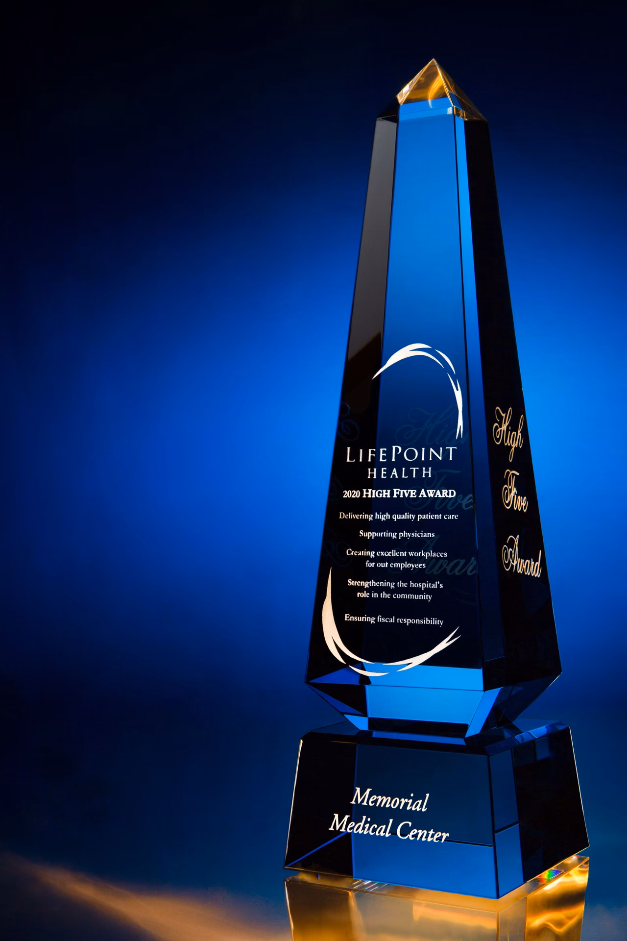 What awards are awarded for medical research in Alzheimer's disease?