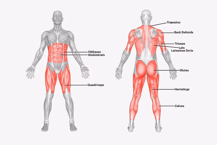 What is Medicine Ball Slam exercise?