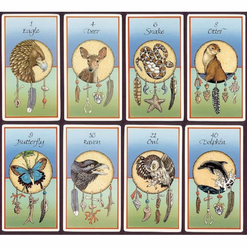 What is medicine in Native American tradition?