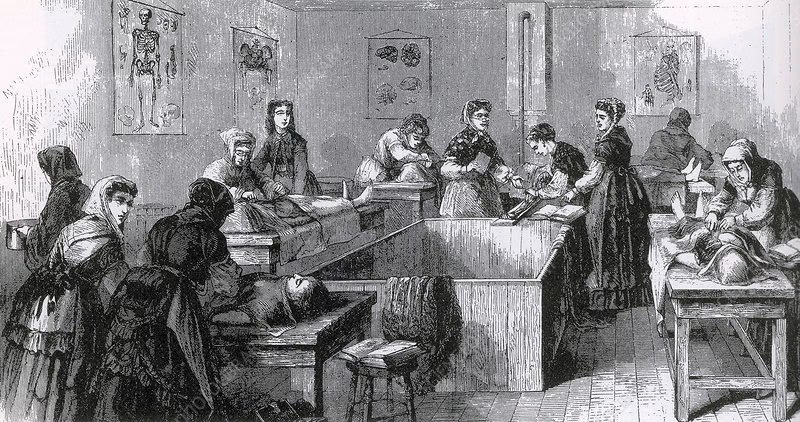 What is a dissection guide?