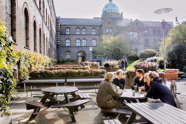 What degree programmes does the University of Copenhagen offer?