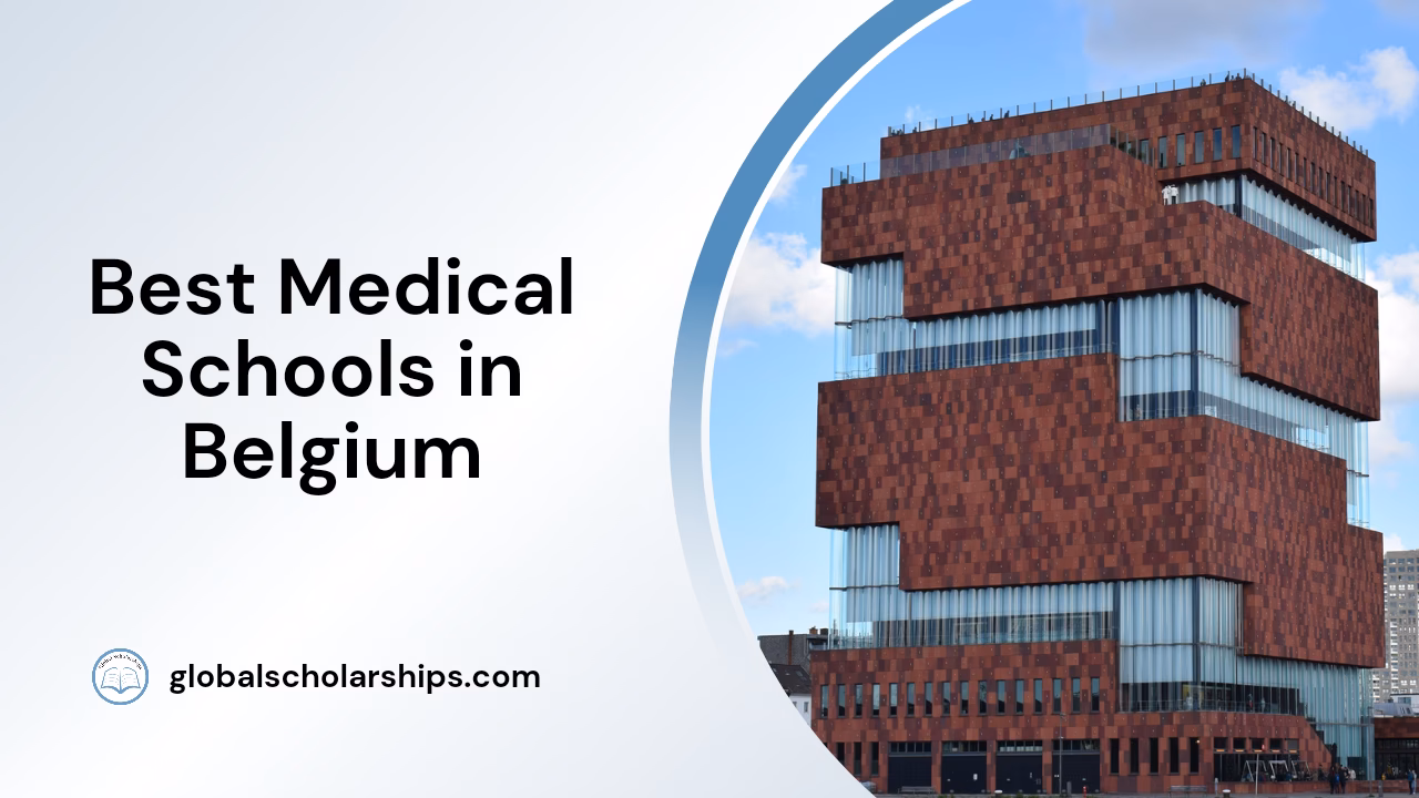 How to become a doctor in Belgium?