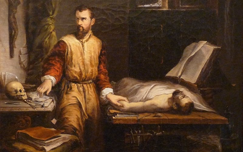 What is a medical renaissance?