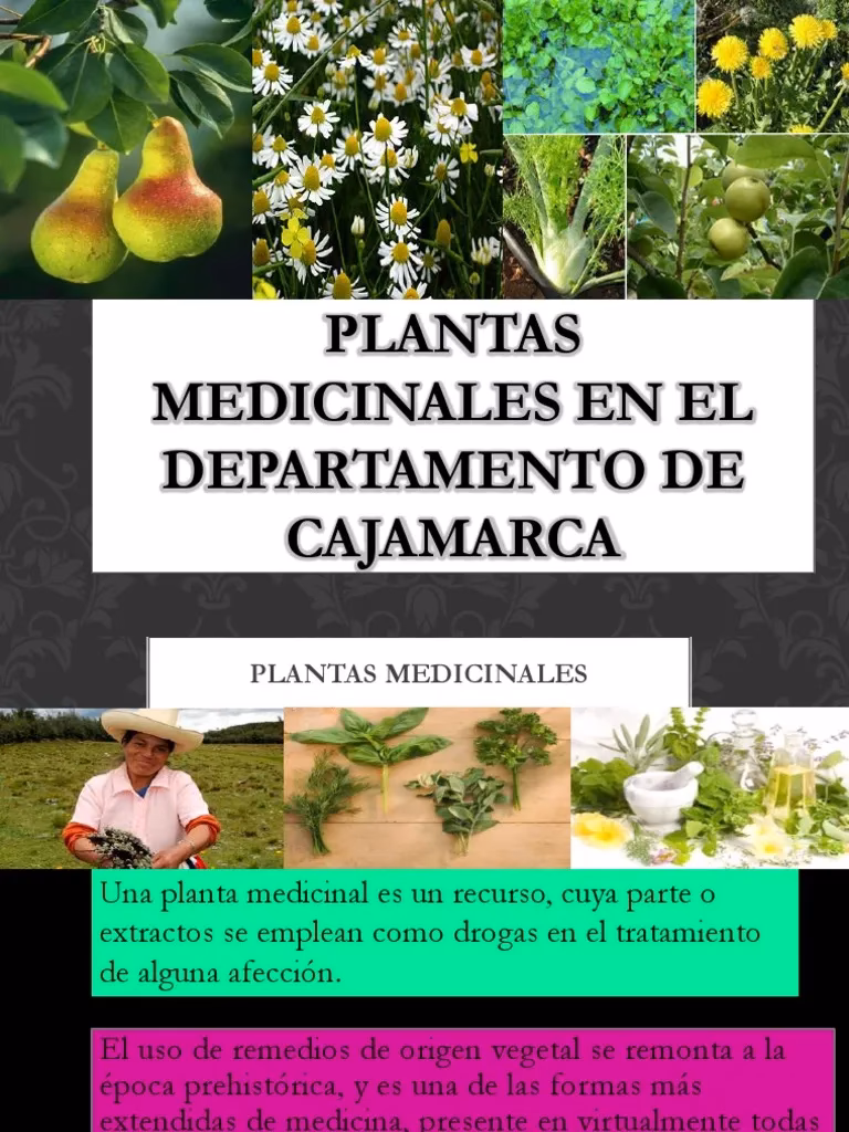¿Cuáles son los caseríos que conocen plantas medicinales?
