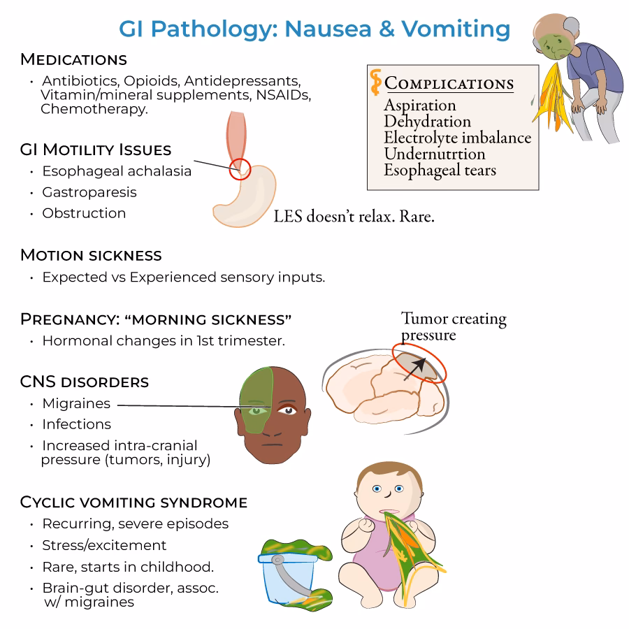 How do you treat nausea & vomiting?