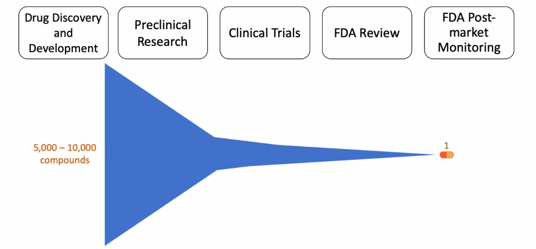 What happens before a drug enters the clinical trial phase?