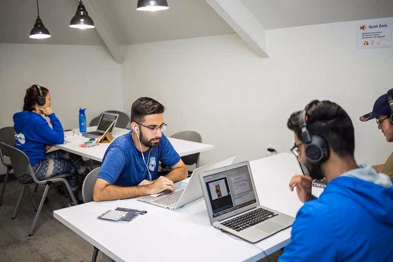 Does Lanadelumab reduce the burden of illness associated with Hae?