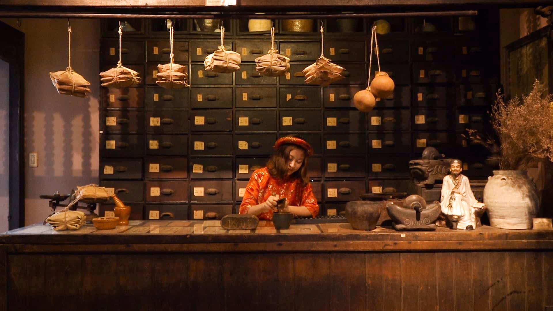 What is the history of Vietnamese traditional medicine?