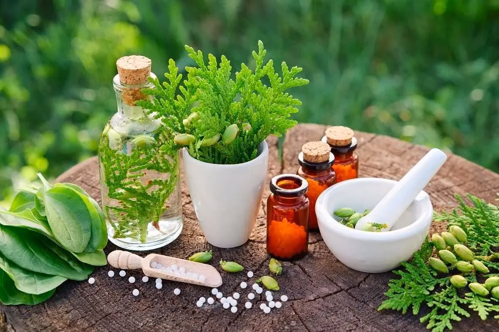 Which pain management drugs are derived from specialist plants?