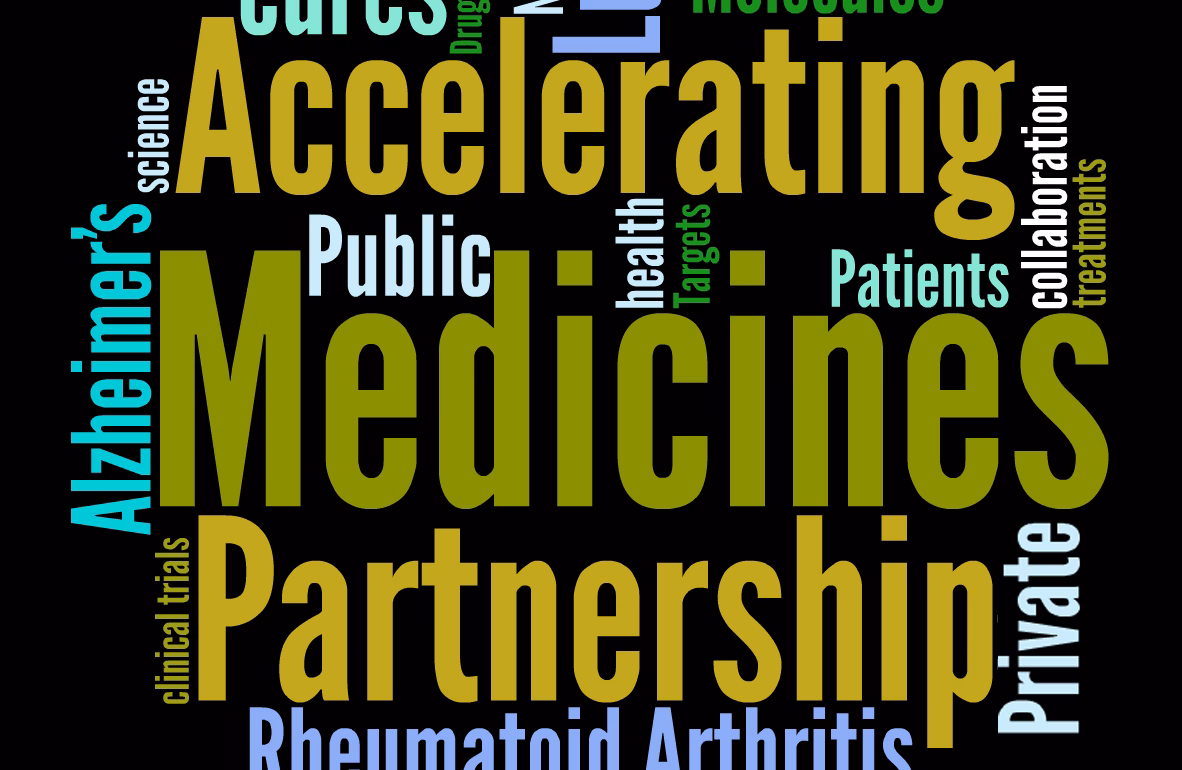 What is a public-private partnership in the AMP program?