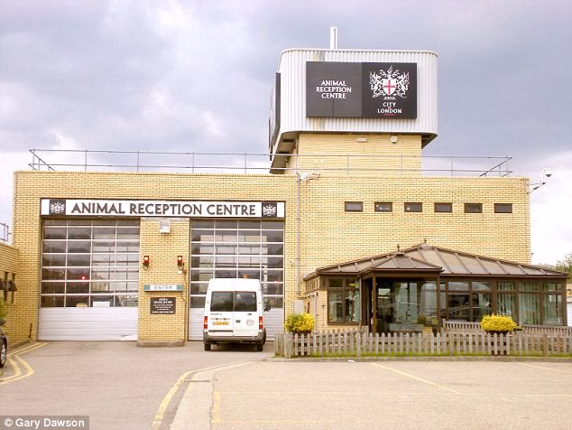 What is Heathrow Animal Reception Centre?