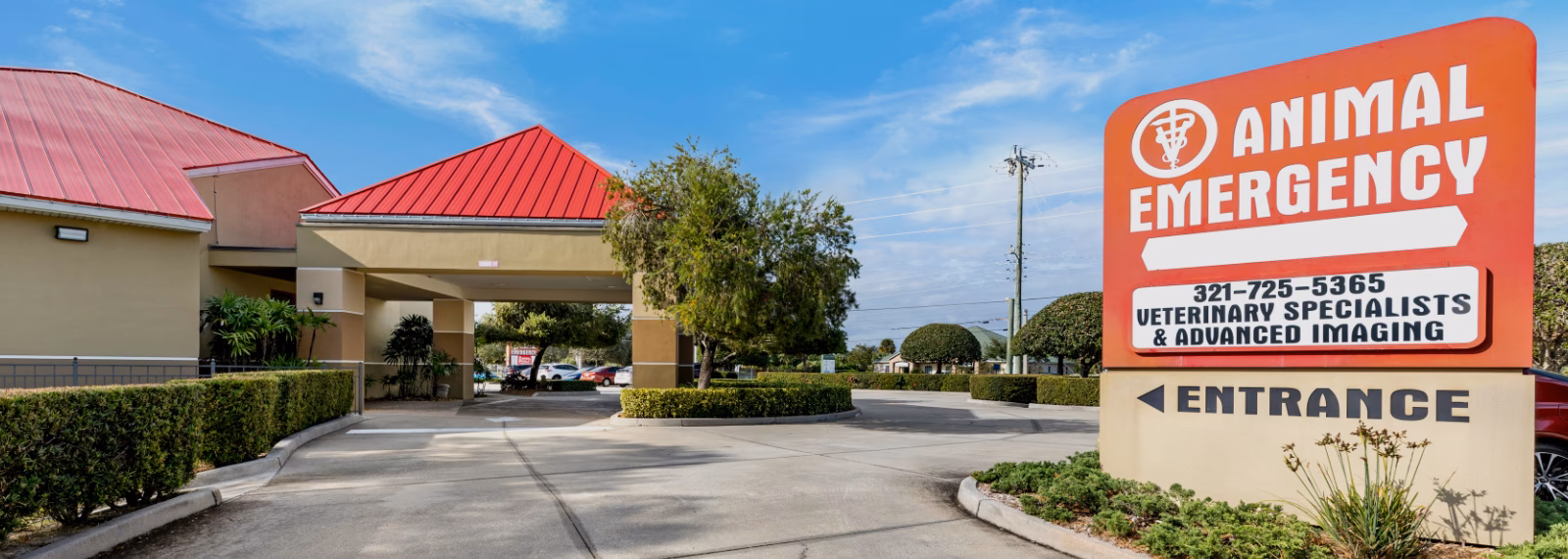 Can I adopt a pet in Melbourne?