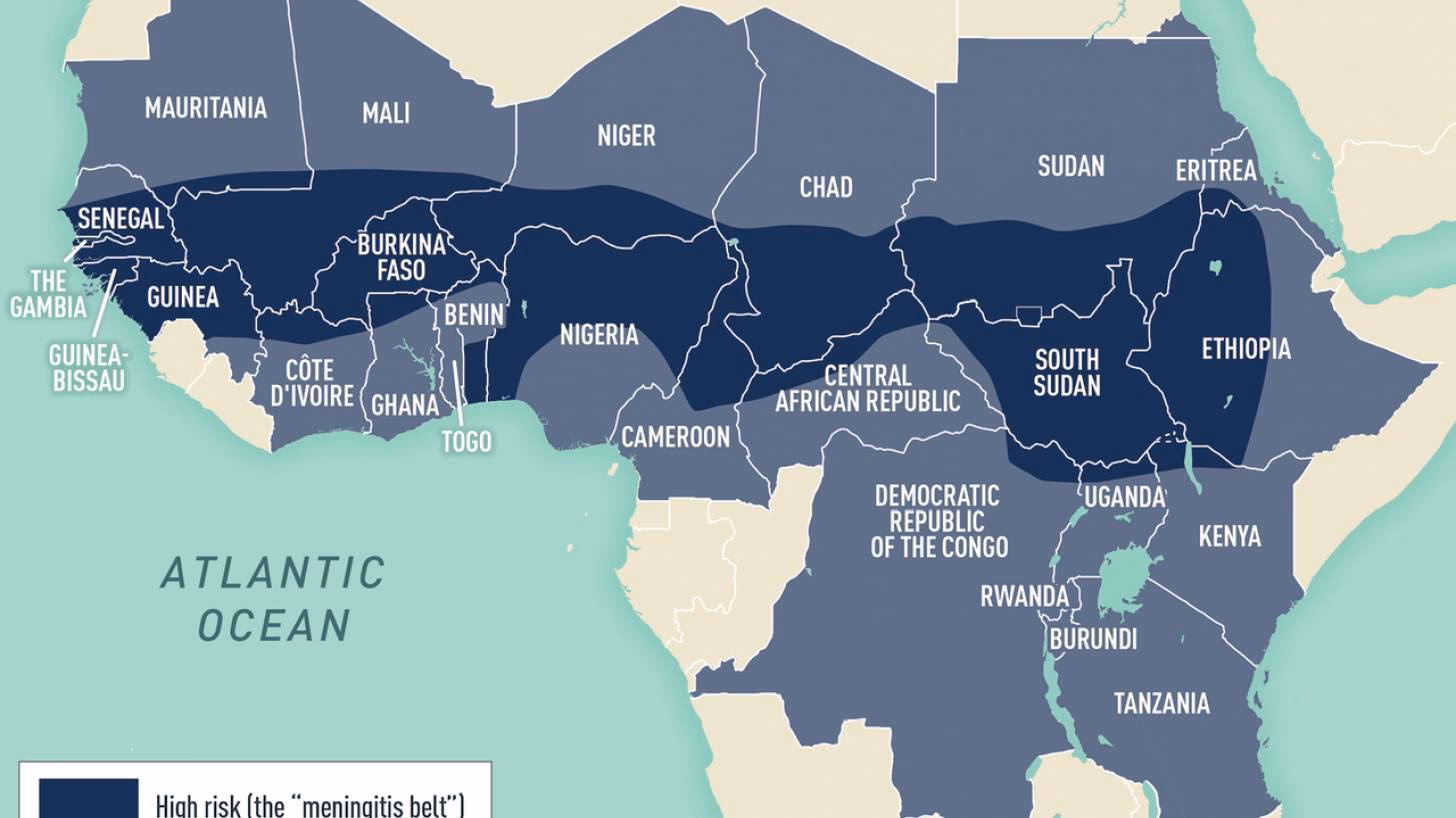 How common is meningitis?