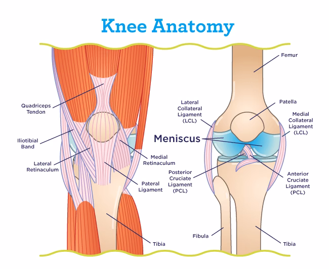 What is meniscus surgery?