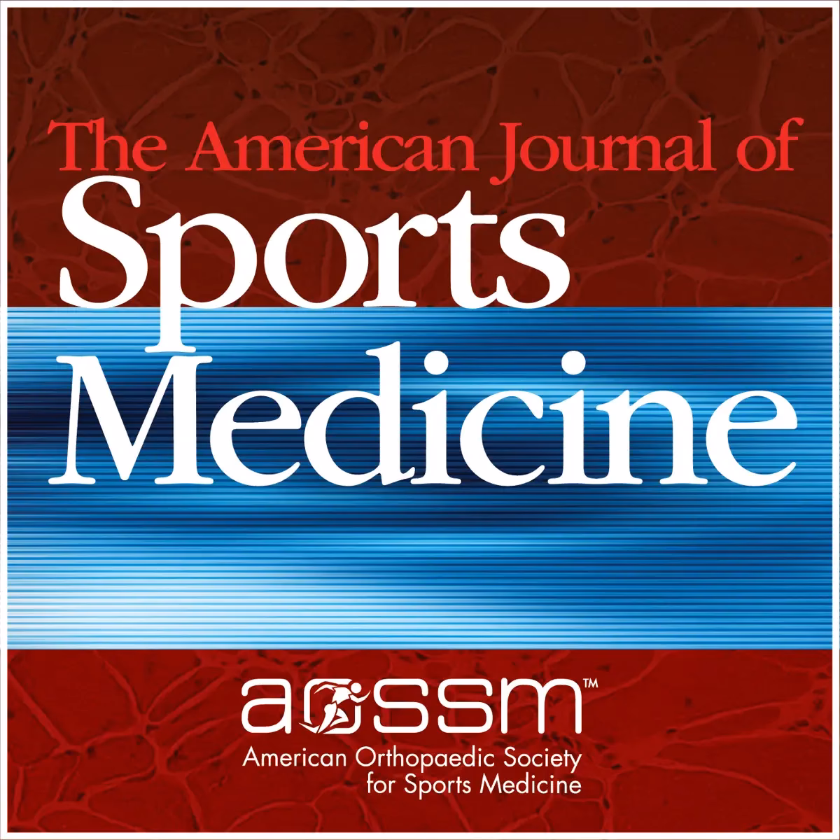When is the 2025 American Journal of Sports Science & Medicine published?