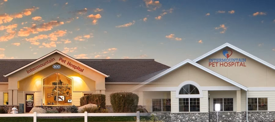 What is Meridian Veterinary Hospital?