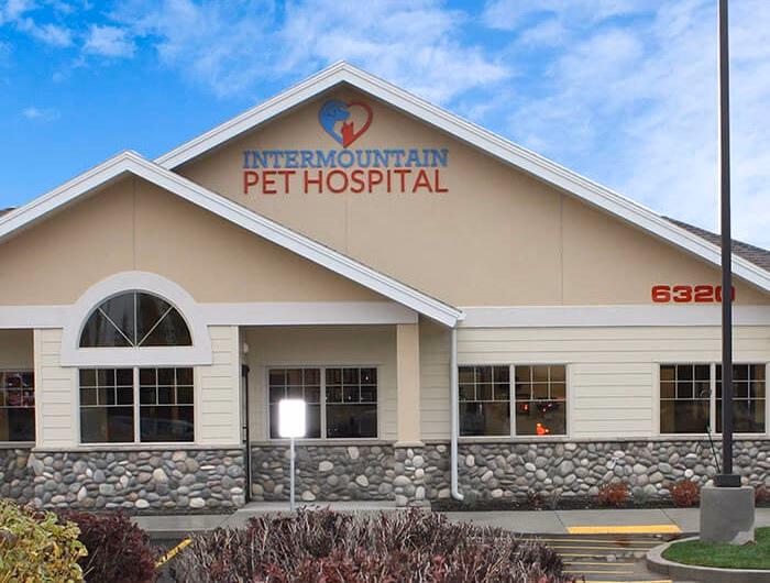 Who is River City veterinary hospital?