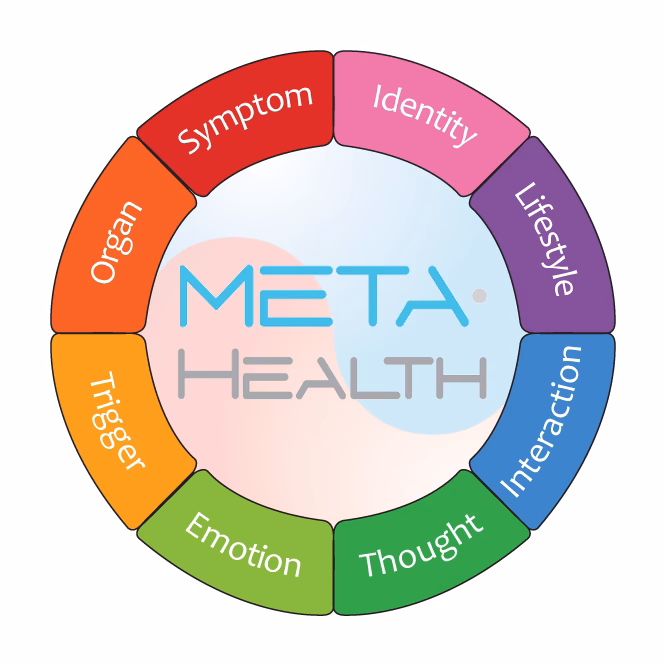 What is meta-health practitioner training?