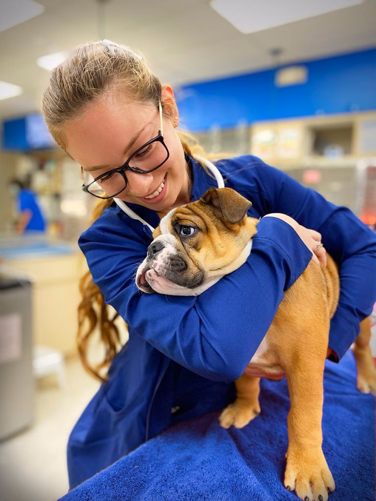 What is the best veterinary clinic in Miami?