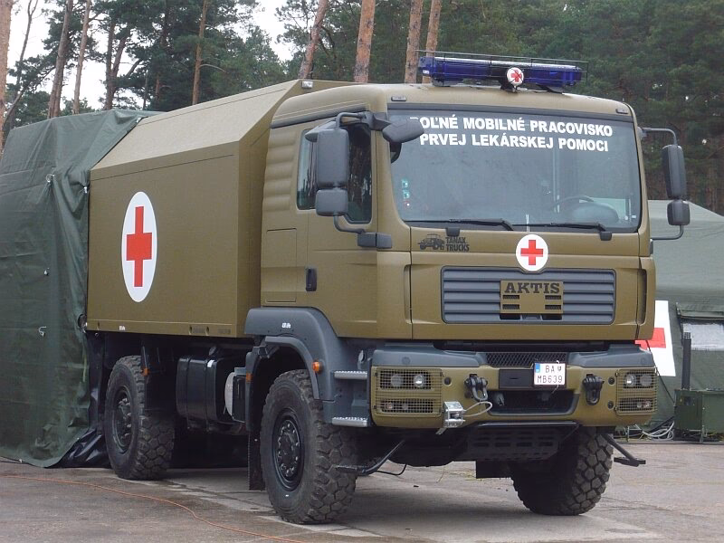 Where is the 8225th mobile army surgical hospital located?