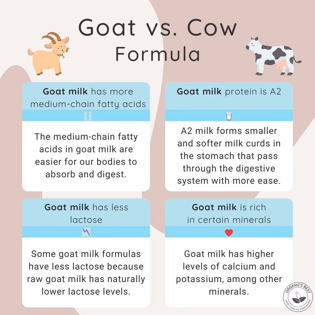 Why does goat's milk cause fewer allergic reactions?
