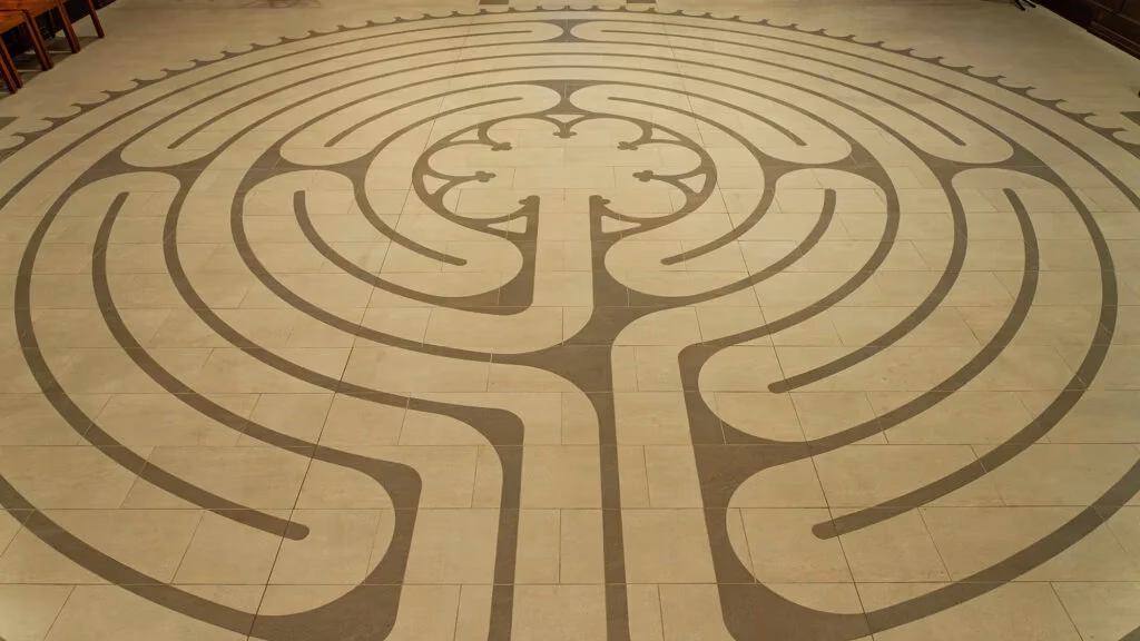 What is the Center for Mind-Body Medicine (CMBM)?