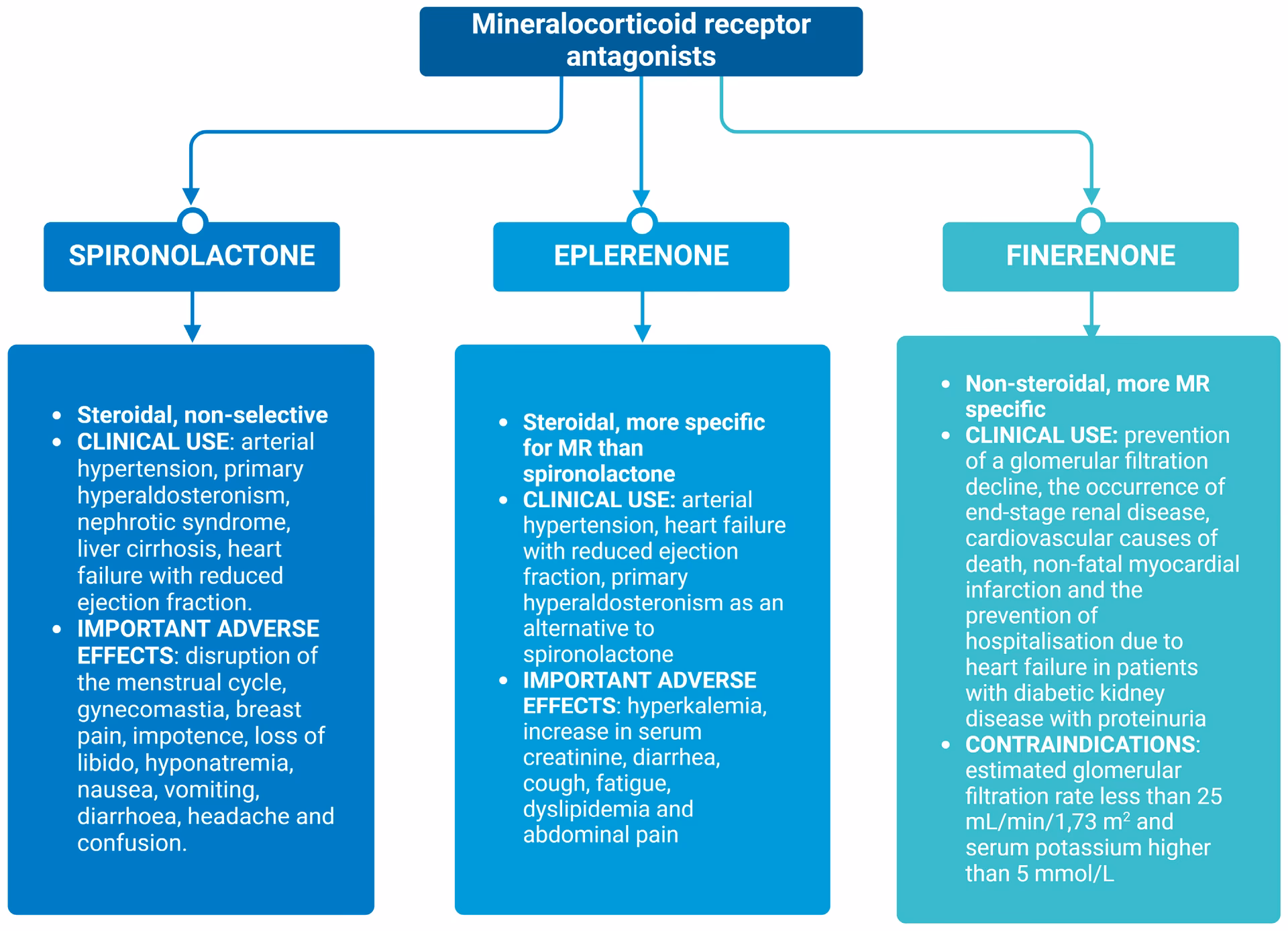 What are mineralocorticoids?