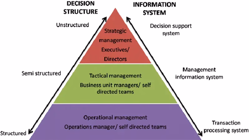 What does a mis manager do?